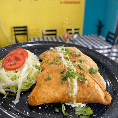 Empanadas fritas deshebrada
