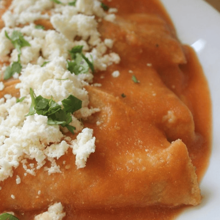 ENTOMATADAS SENCILLAS