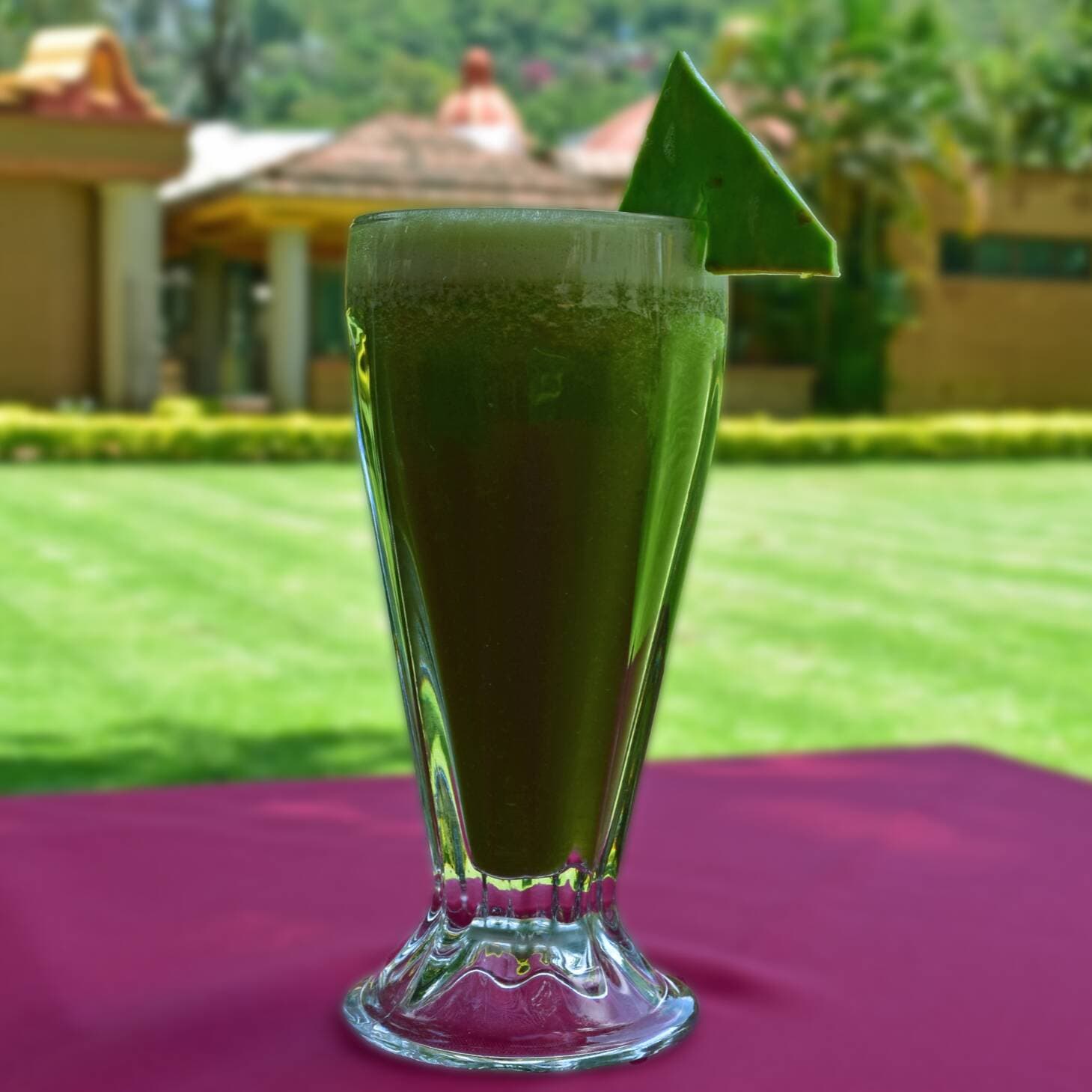 Jugo dietético