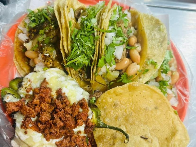Mr. Patata Taco con Papa (Guadalajara)