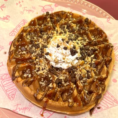 Waffle Tortuga
