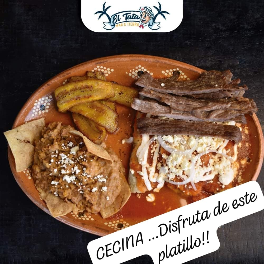 CECINA