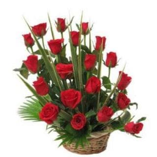 Cuna de Amor (20 Rosas)