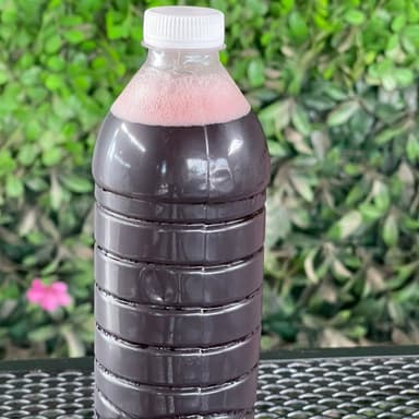Agua de Jamaica
