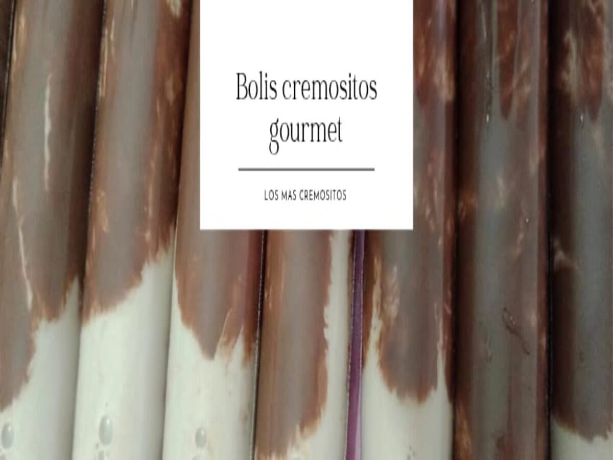 BOLIS CREMOSITOS GOURMET