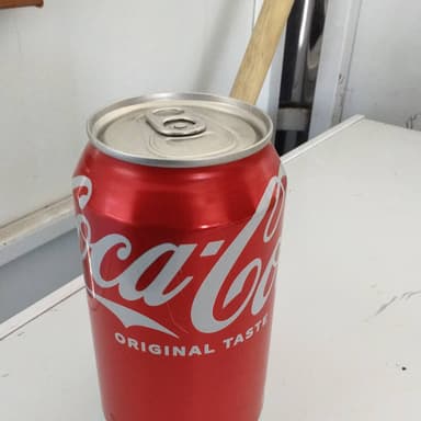 Coca 355