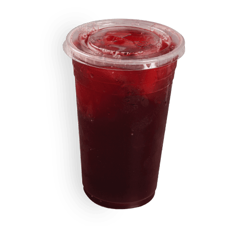 Agua de Jamaica 500 Ml
