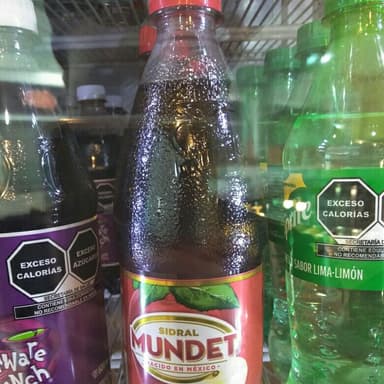 Refresco Sidral Mundet 红苹果汁