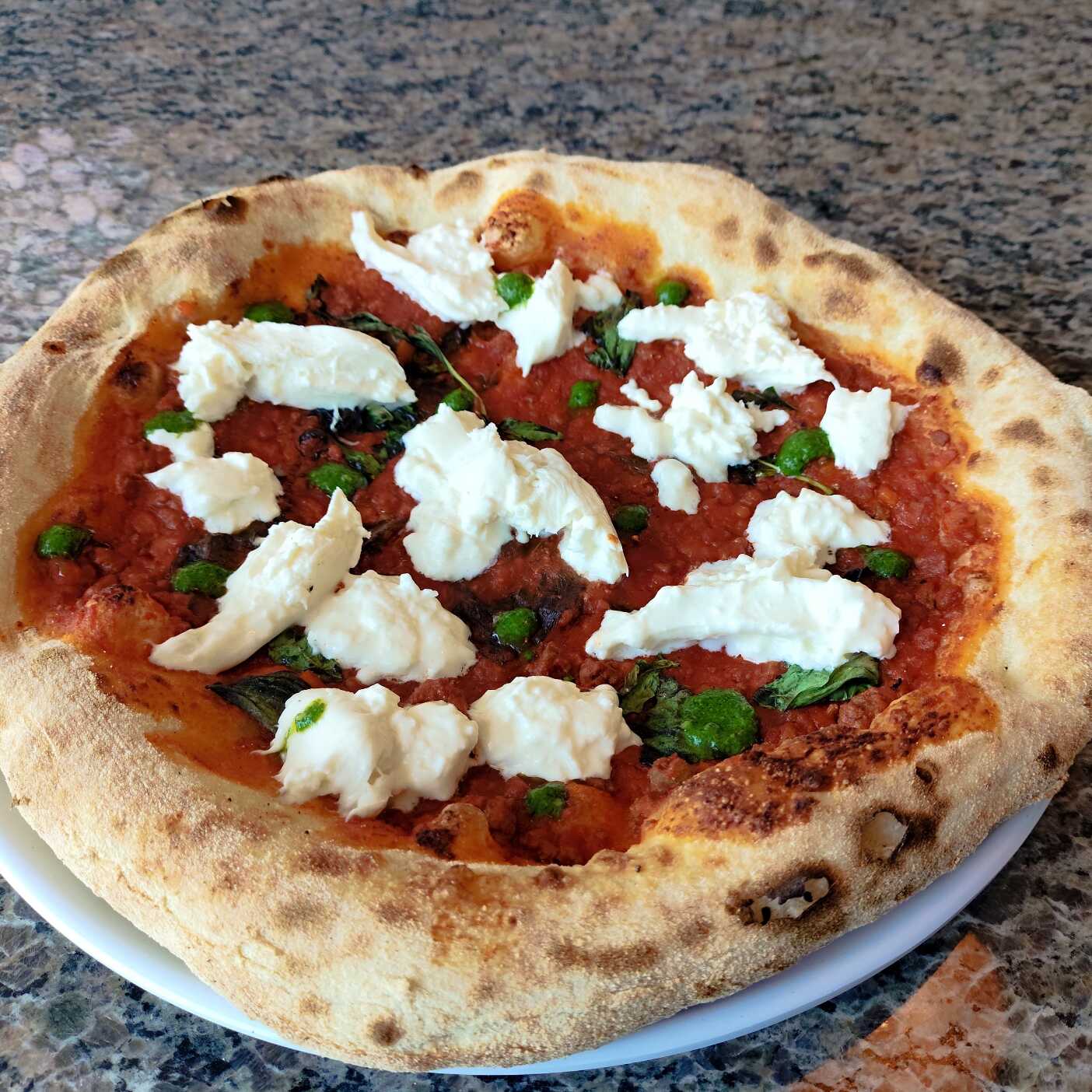Bolognese