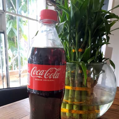 Coca Cola 600 Ml.