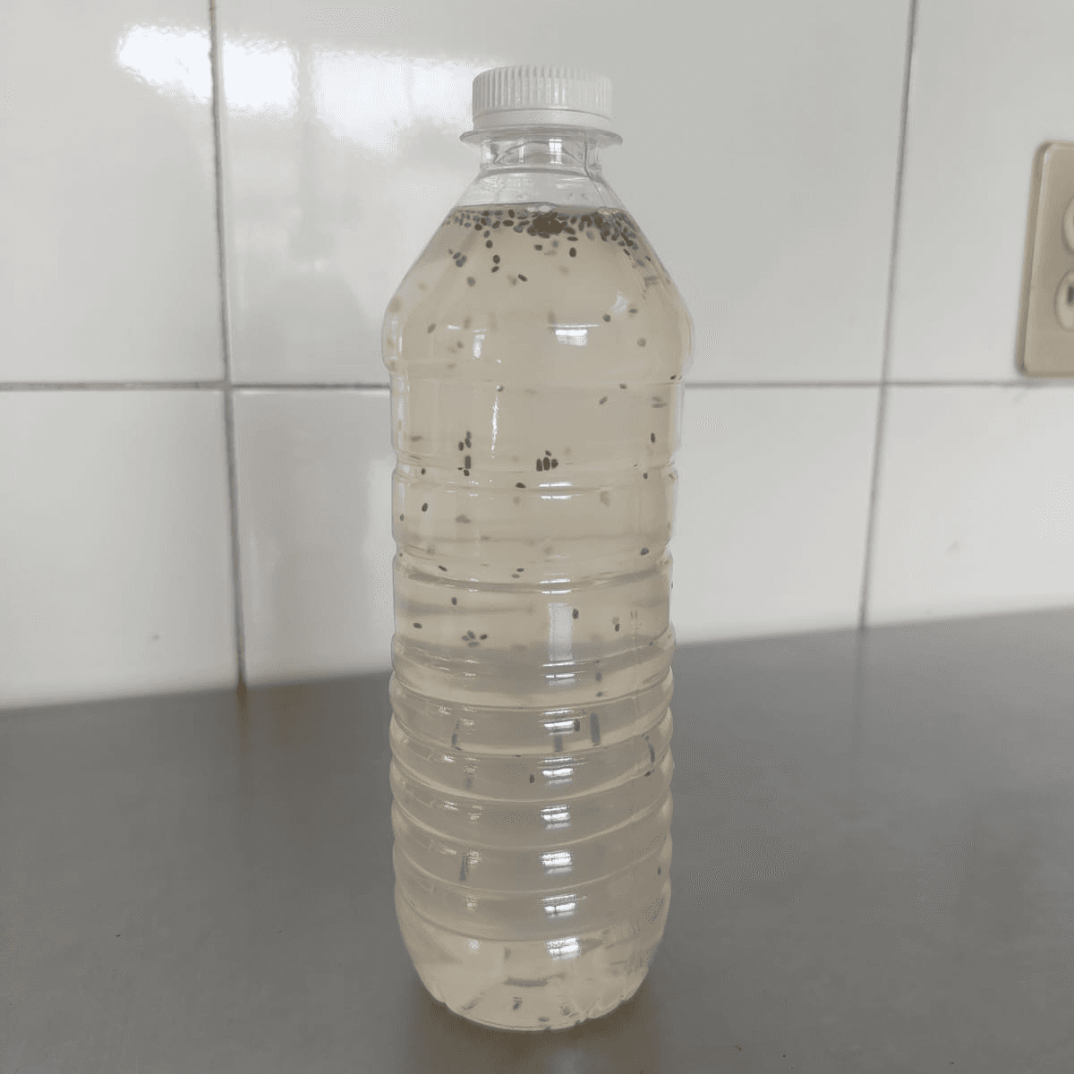 Agua Natural de Limón con Chía 500ml
