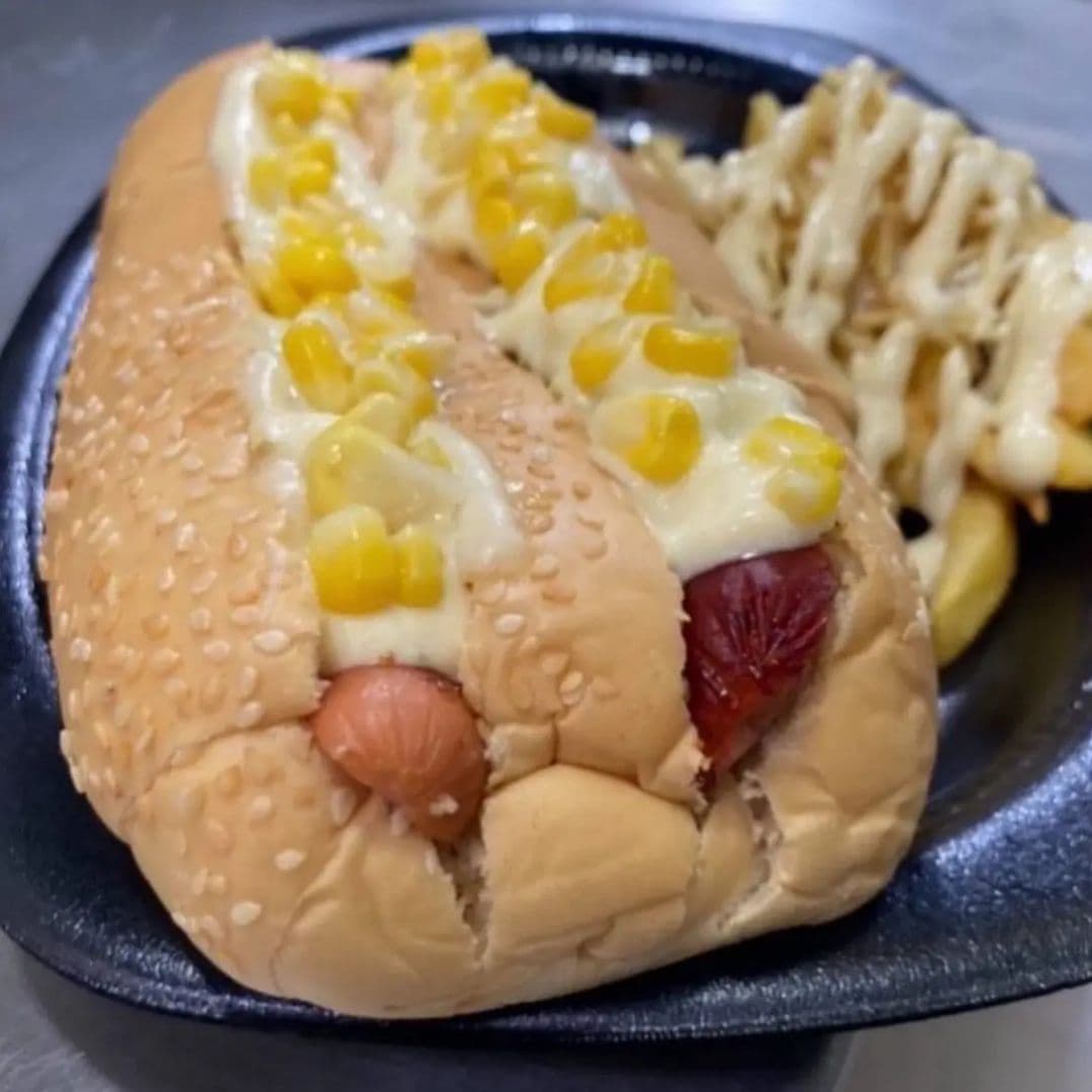Perro Mellizo ( Suizo - Salchicha )