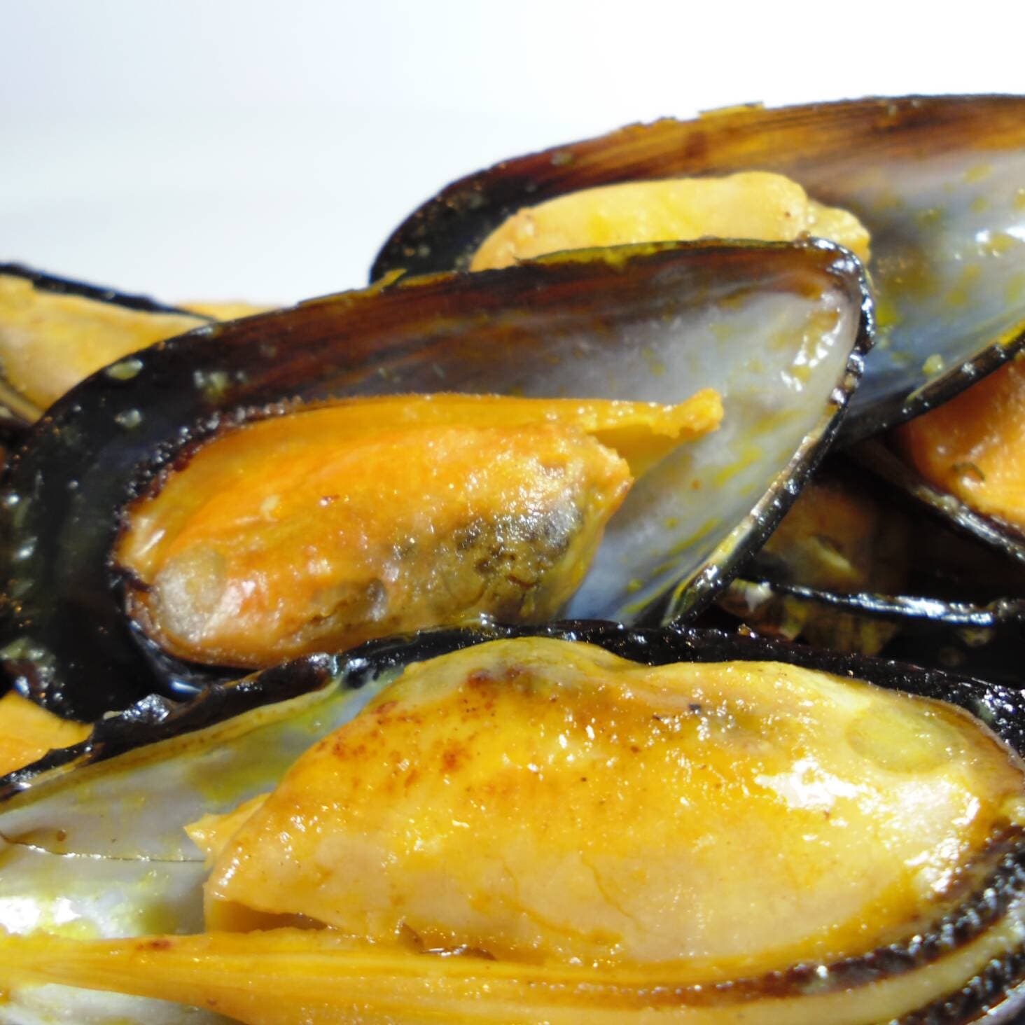 Mejillones