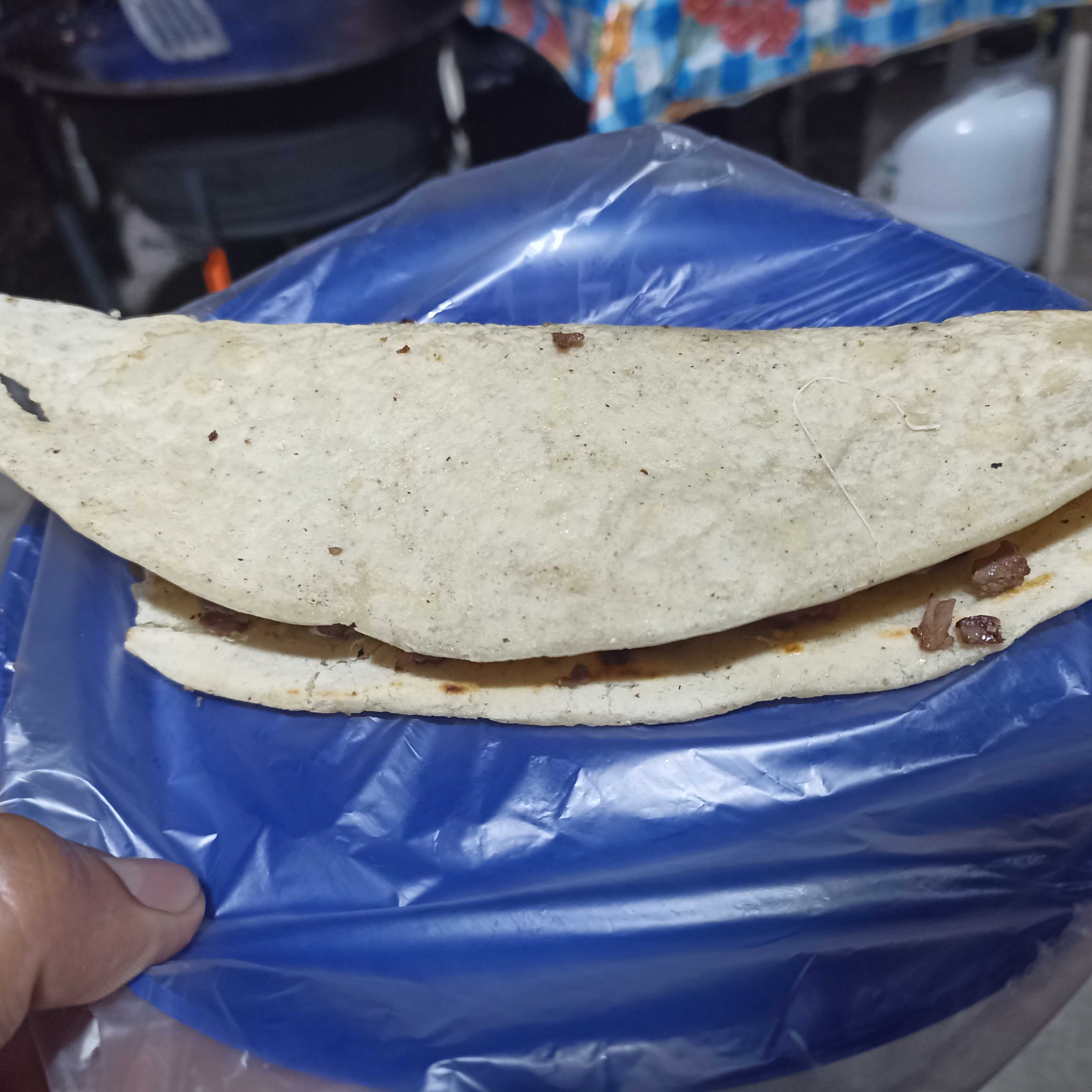 Quesadilla de Arrachera