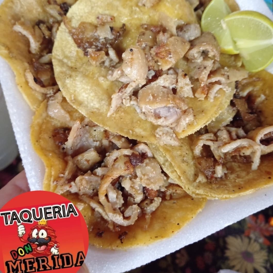 Tripa