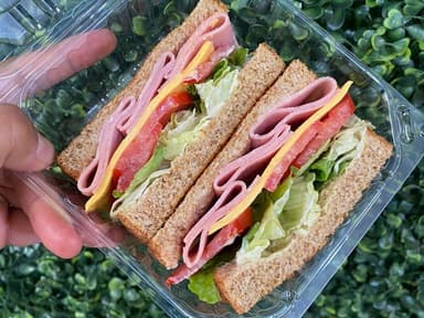 SANDWICH ESPECIAL TOSTADO