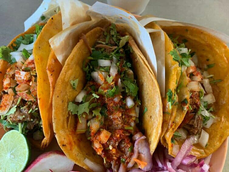 Tacos de Birria El Paisa 2