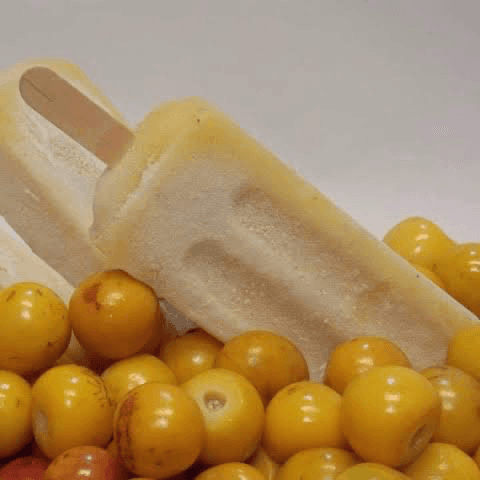 Paleta de Nanche