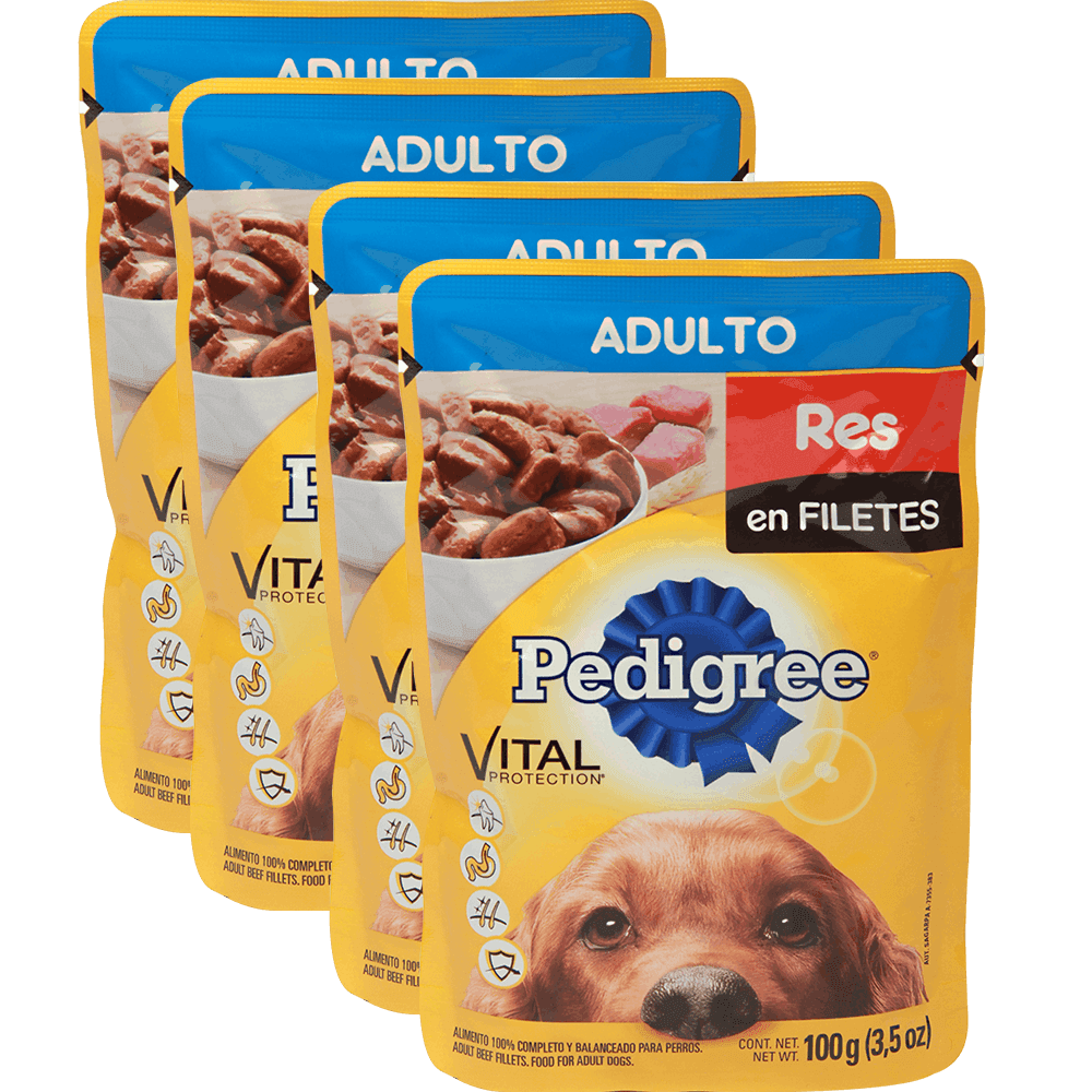 4 Alimento pperro Pouch Res 100 grs