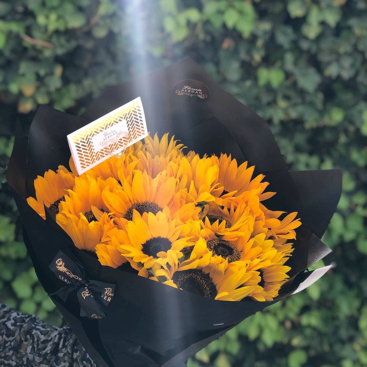 20 Girasoles
