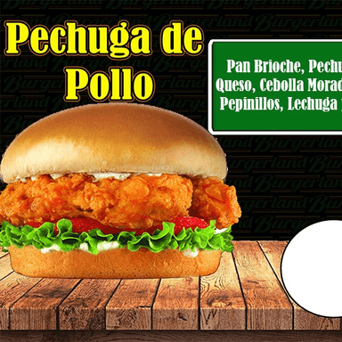 PECHUGA DE POLLO