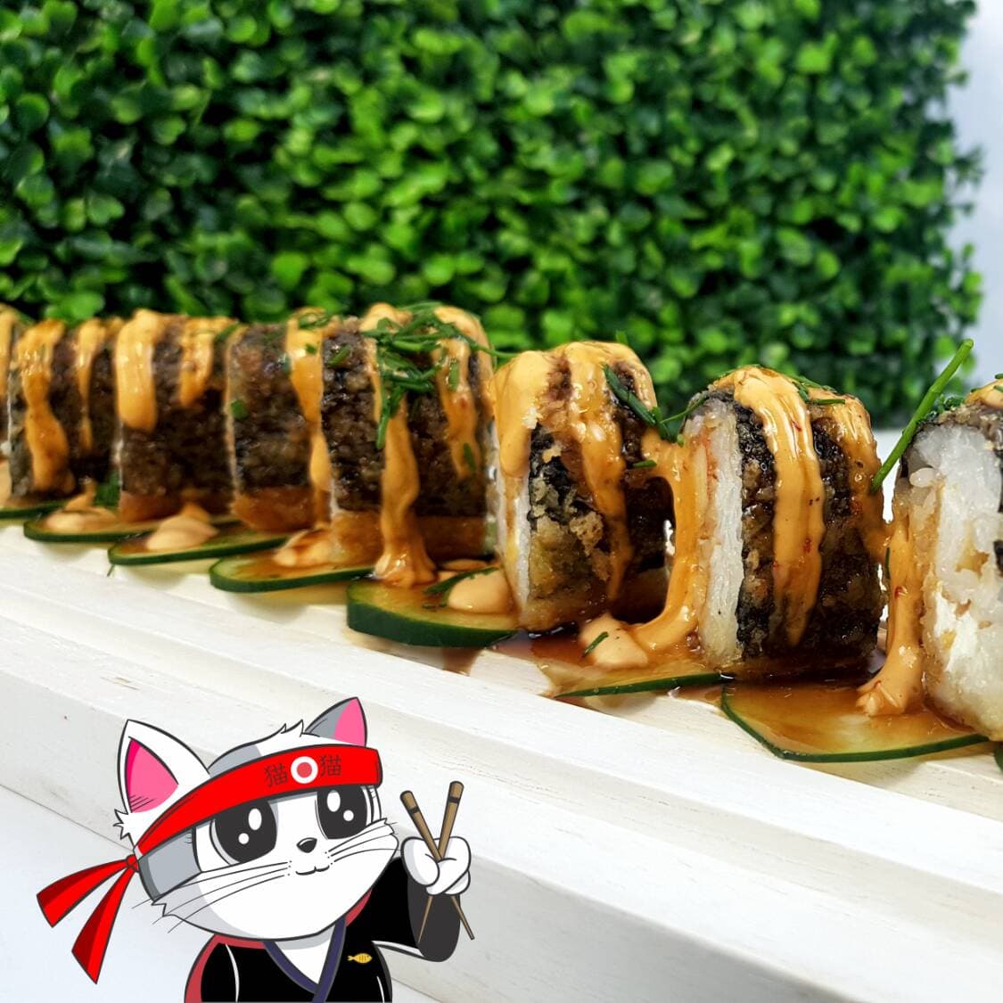 Sushi Cat
