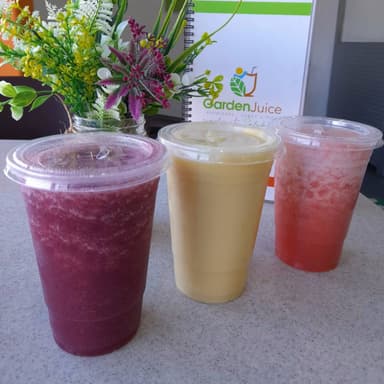 Jugo Mediano 600 Ml