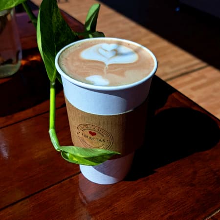 Moka Mediano 16 Oz