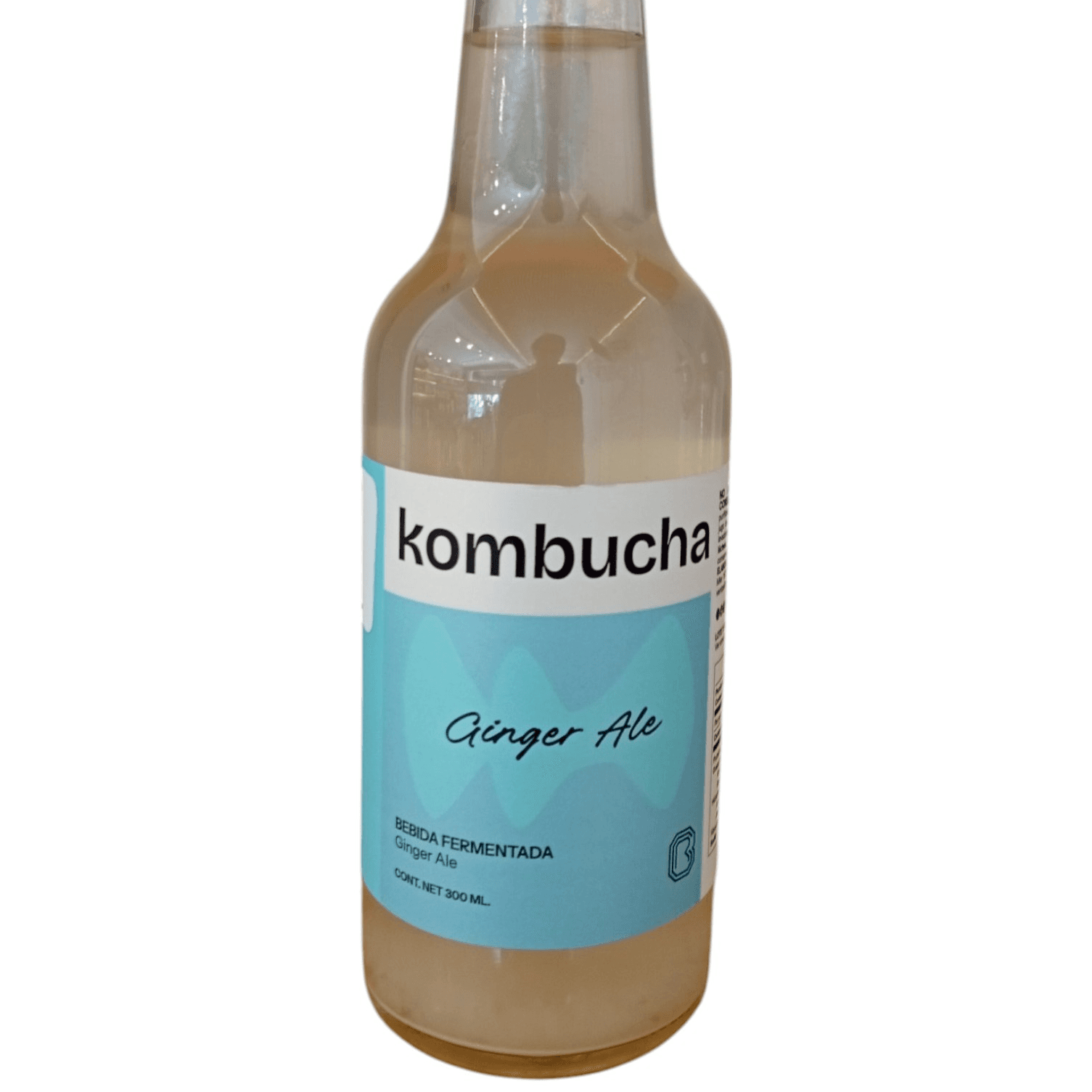 Kombucha 300 ML Ginger, El Huerto de Carmen