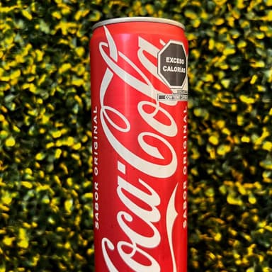 Soda de Lata 355 ml