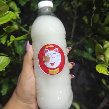 Kalpis 500 ML