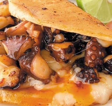 QUESADILLA PROPELA