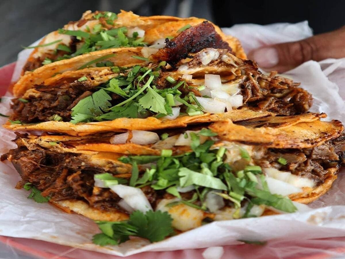 El Compa Birria y Asadas (Suc. Colosio)
