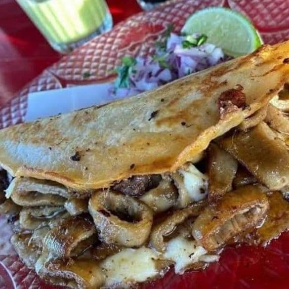 Quesatripa