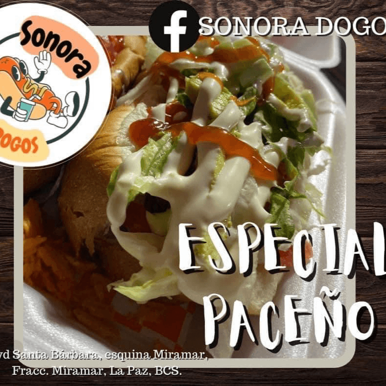 Especial Paceño