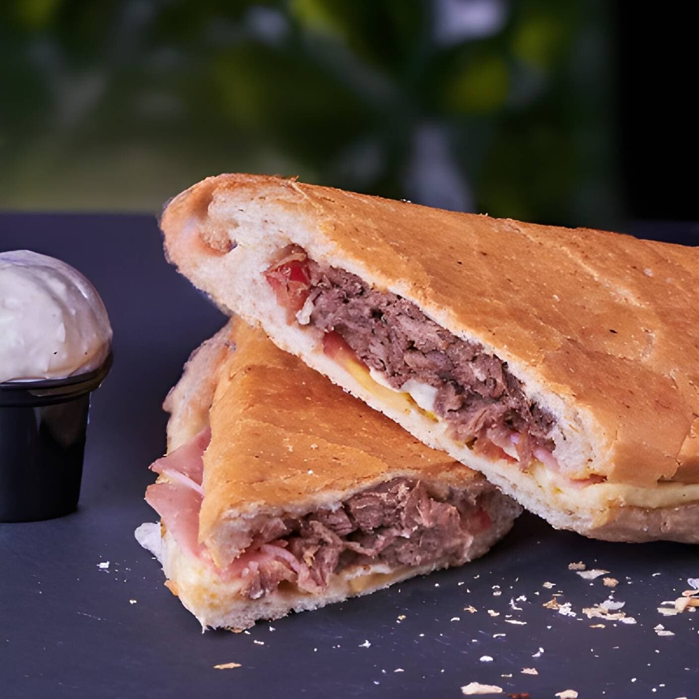 Sándwich Ropa Vieja 23 Cm Individual