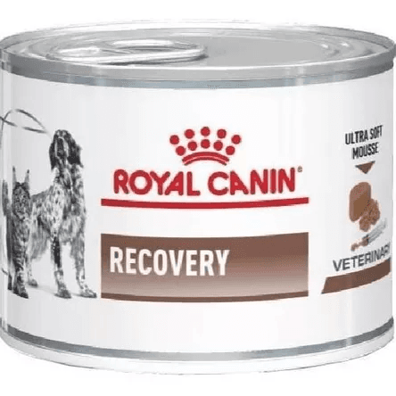 Recovery Royal Canin 145gr