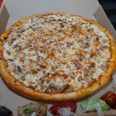 Pizza 3 carnes gde