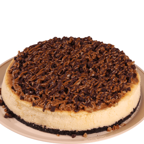 Cheesecake Tortuga