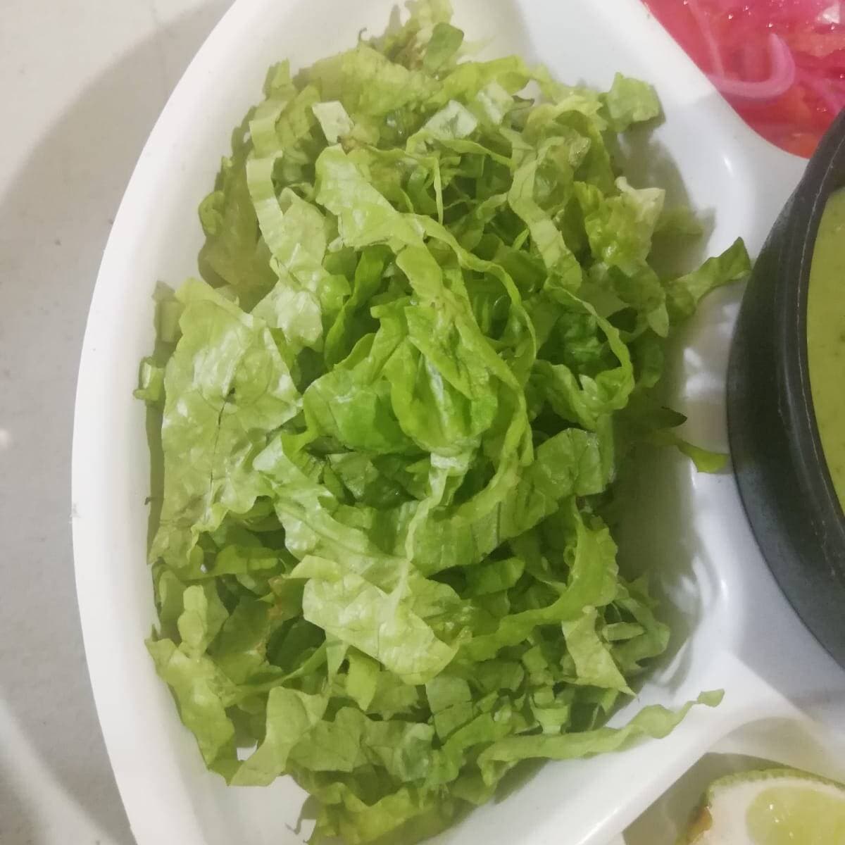 Bolsa con Lechuga Desinfectada