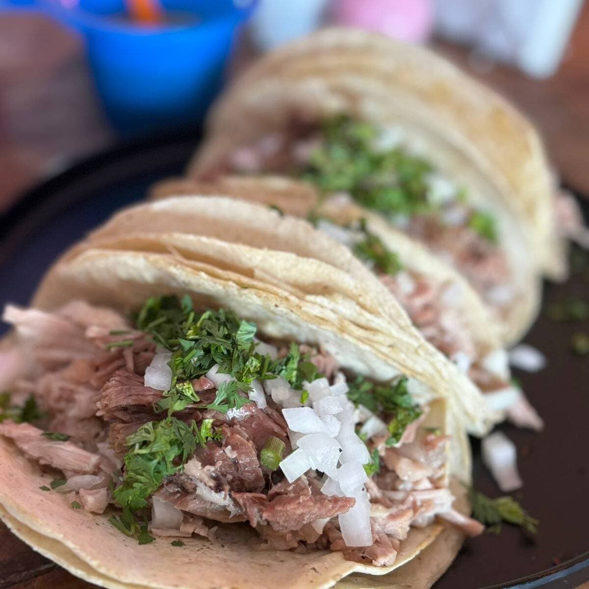 Taco Surtido