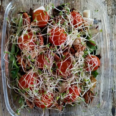 Ensalada Alma Natural.