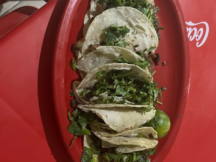 Tacos de Tripas Don