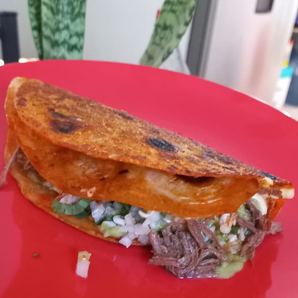 Quesabirria de Harina