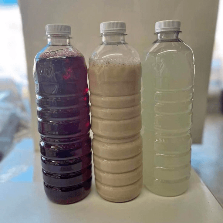 Agua de Jamaica 500ml
