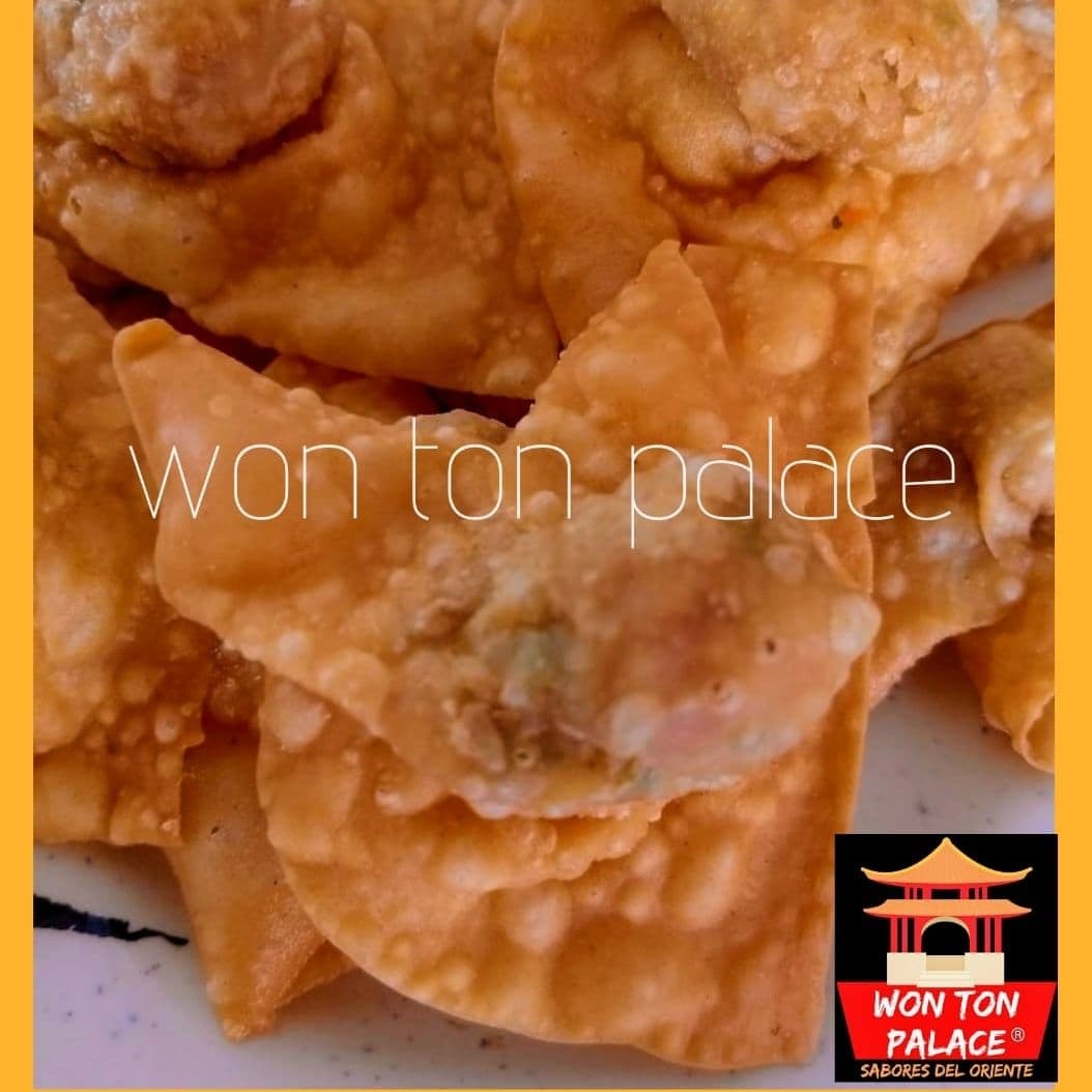 Won Ton Fritos de Carne 6 Pzas