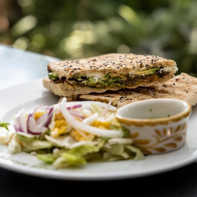 PANINI VEGETARIANO