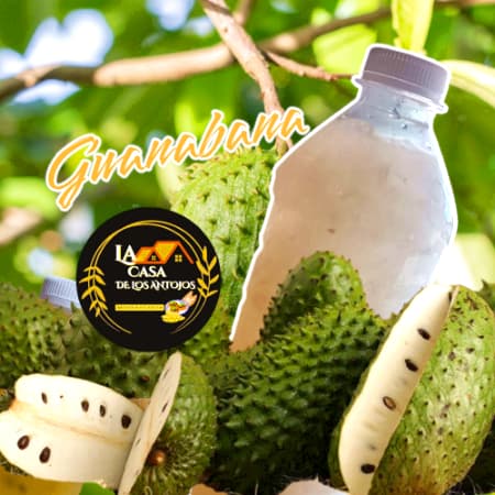 Agua de Guanabana 500ml