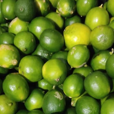 Limón