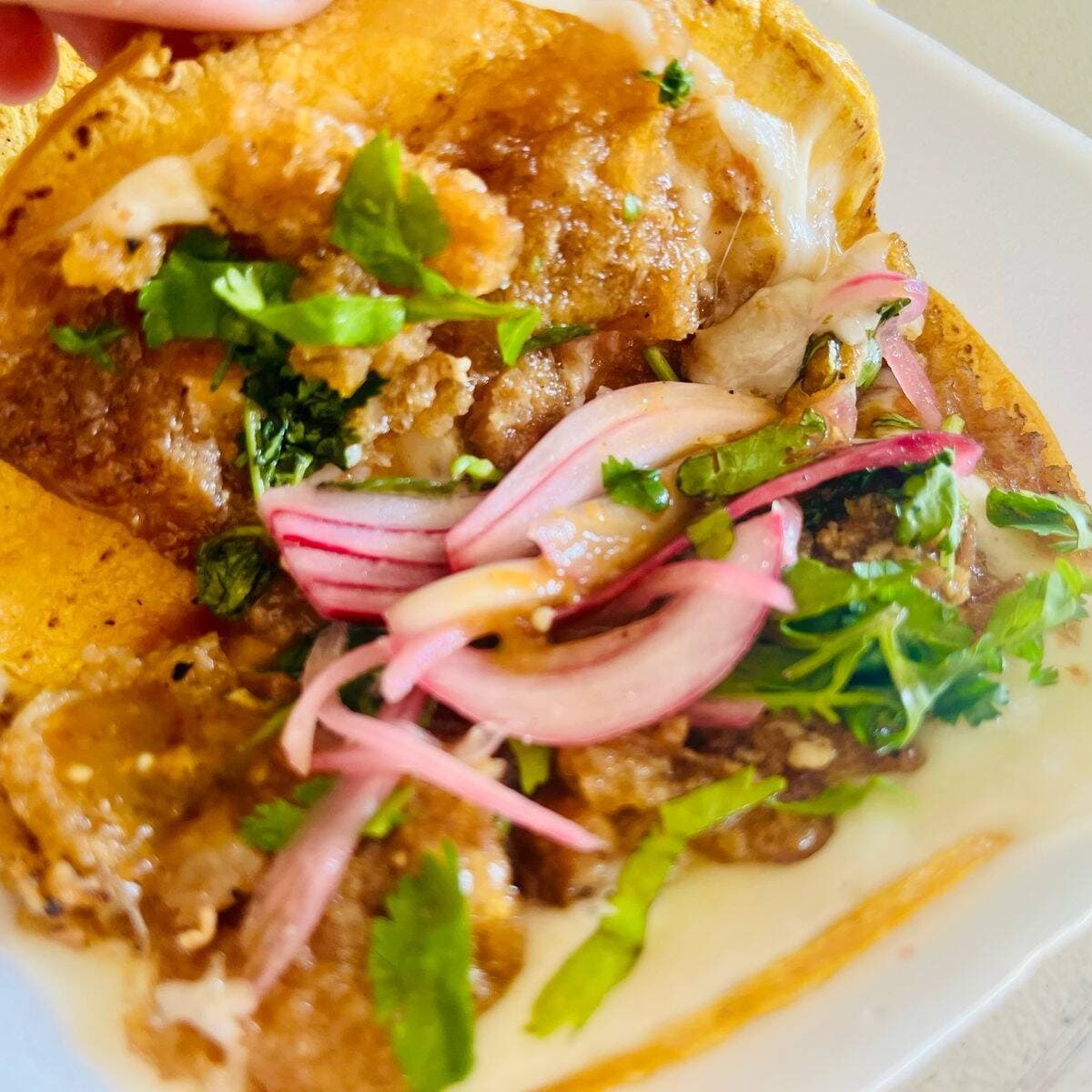 Quesadilla con Guisado